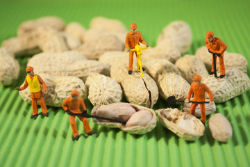 Miniature Nut Cracker