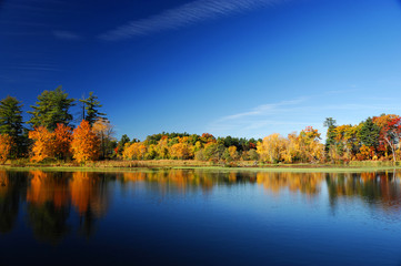 autumn colorful trees under morning sunlight reflecting in tranquil river