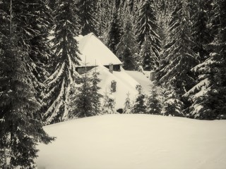 Snowy Wooden Cottage