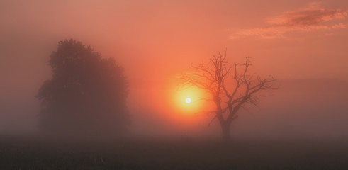 Fototapeta na wymiar sun coming throw fog