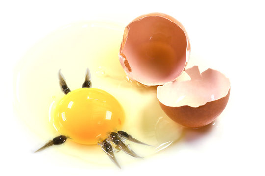 recommend clip art: Yolk and tadpoles (Sperm and Nucleus), Isolated on white backgro