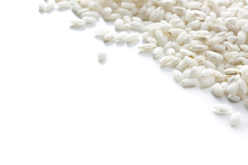 The arborio rice.