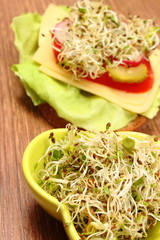 Bowl with alfalfa and radish sprouts and vegetarian sandwich