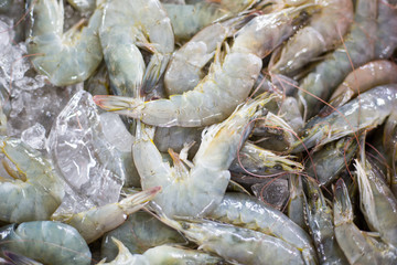 Sea prawn seafood raw material