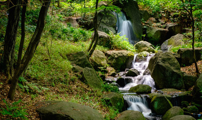 Small Waterfall in a Forest