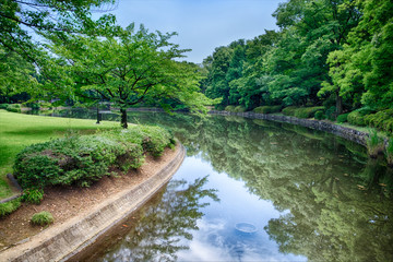 Fototapeta na wymiar River in a Park