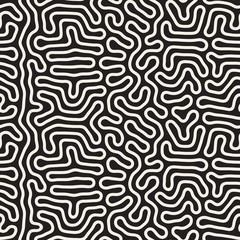 Vector Seamless Black and White Organic Lines Pattern