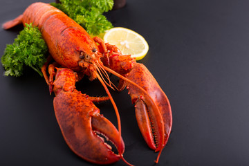 Canadian lobster food