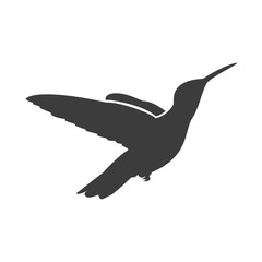 Bird Icon.