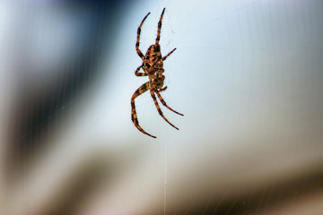 Hanging out