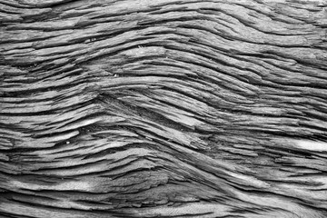 Old wood background and texture, vintage style