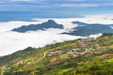 Obraz premium Amazing mist wave on mountain Phu Thap Boek Thailand