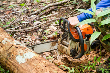 man cuts wood with electric saw in the wood