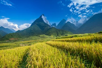Fotobehang Beautiful rice paddy fields during trip HANOI to SAPA at Mu Cang © Chanwit