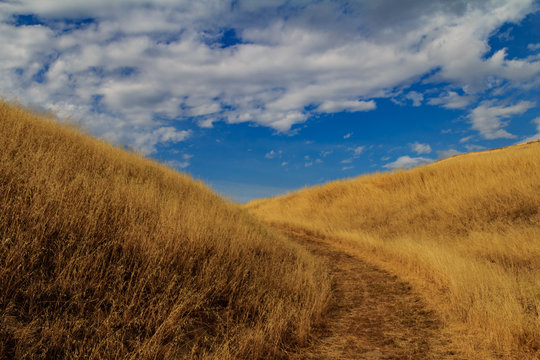 An evening mountain hike near Milpitas, California