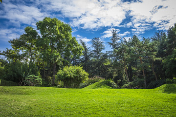 Fototapeta na wymiar Park in Toulouse in the summer