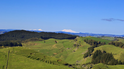 Fototapeta na wymiar Picturesque green hills volcanoes landscape panorama