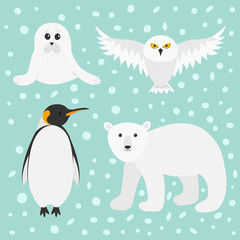 Arctic polar animal set. White bear, owl, king penguin Emperor Aptenodytes Patagonicus, Seal pup baby harp. Kids education cards. Winter antarctica blue snow background Flat design.