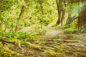 Fototapety na wymiar - Fototapeta24.pl