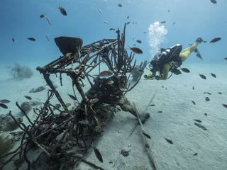 Zelfklevend Fotobehang Unterwasser - Riff - Wrack - Flugzeugwrack - Schwamm - Taucher - Tauchen - Curacao - Karibik © NaturePicsFilms