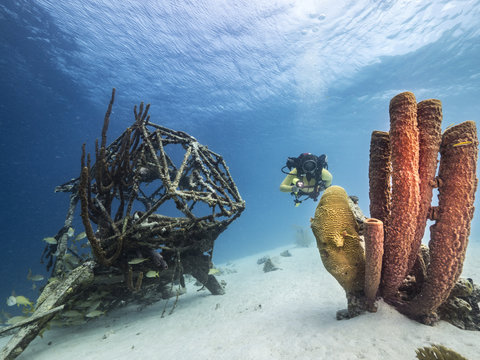 Unterwasser - Riff - Wrack - Flugzeugwrack - Schwamm - Taucher - Tauchen - Curacao - Karibik
