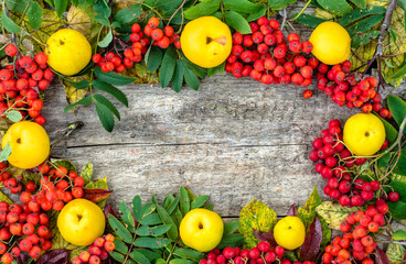 Colorful autumn frame with autumn fruits on wooden background