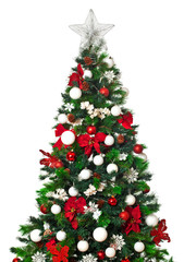 Obraz na płótnie Canvas Christmas tree detail