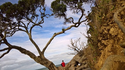 relax