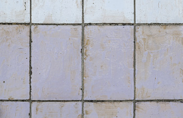 Typical decorative tiles