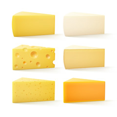 Set of Triangular Pieces of Various Kind of Cheese Swiss Cheddar Bri Parmesan Camembert Isolated on White Background