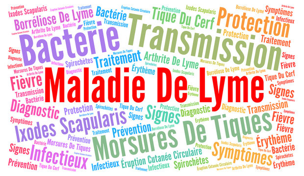 Lyme disease word cloud concept with french text