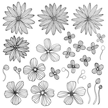 Linear flowers - hand drawn set