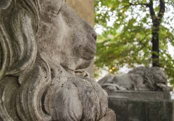 an ancient marble sculpture of sleeping lion
