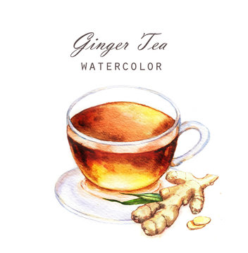 Hand-drawn watercolor illustration of the tea. Cup tea with ginger isolated on the white background.