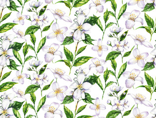 Naklejki  Ręcznie rysowane akwarela bezszwowe wzór z kwiatów jaśminu i liści herbaty na białym tle. Powtarzający się druk