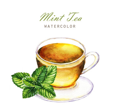Hand-drawn watercolor illustration of the tea. Cup of the mint tea and mint leaf isolated on the white background.