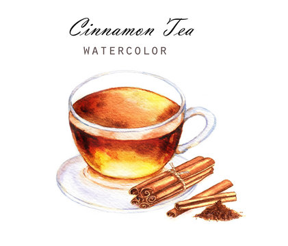 Hand-drawn watercolor illustration of the tea. Cup tea with cinnamon isolated on the white background.
