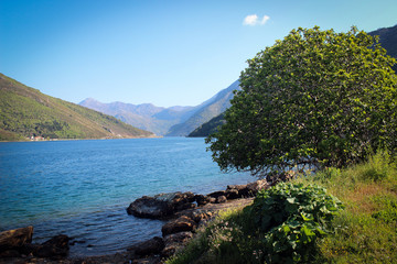 View of Kotor gulf coast, Montenegro