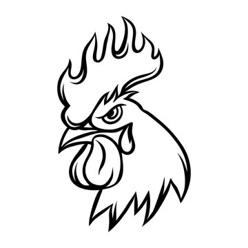 Hand drawn illustration of black rooster on white background