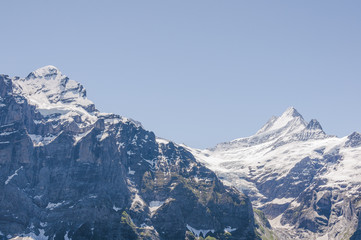 Grindelwald, Berner Oberland, Alpen, Wetterhorn, Schreckhorn, Grindelwaldgletscher, Schweizer Berge, Wanderferien, Sommer, Frühling, Schweiz