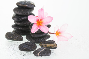 Fototapeta na wymiar Plumeria flowers and black stones 
