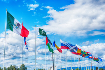 Flags