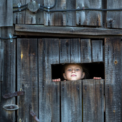 Little girl looks out of the shed through a small window.