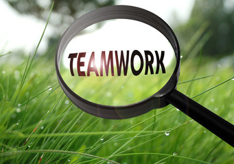 teamwork
