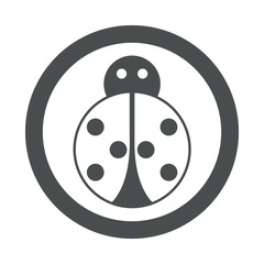 Icono plano mariquita en circulo color gris