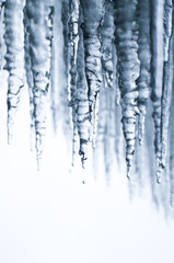 Cool icicles  dripping with water behind Niagara Falls