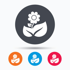 Flower icon. Florist plant with leaf sign.