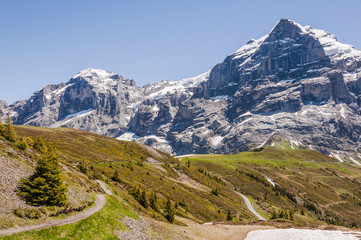 Grindelwald, Berner Oberland, Alpen, Schweizer Berge, First, Grosse Scheidegg, Wanderweg, Wetterhorn, Engelhörner, Sommer, Schweiz