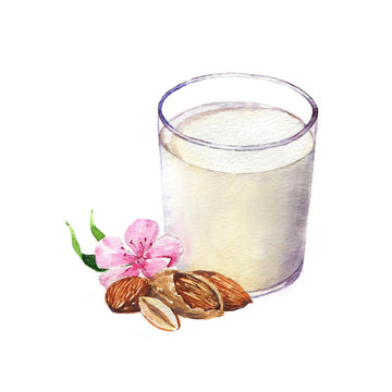 Hand-drawn watercolor illustration of the almond and glass of almond milk. Drawing isolated on the white background