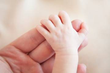 Newborn baby hand in the hand of father, close-up